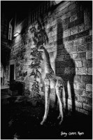 /album/fotogaleria-fotos-b-n/mg-8844-640x480-jpg1/